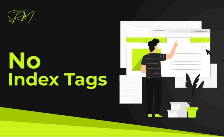 What are No Index Tags