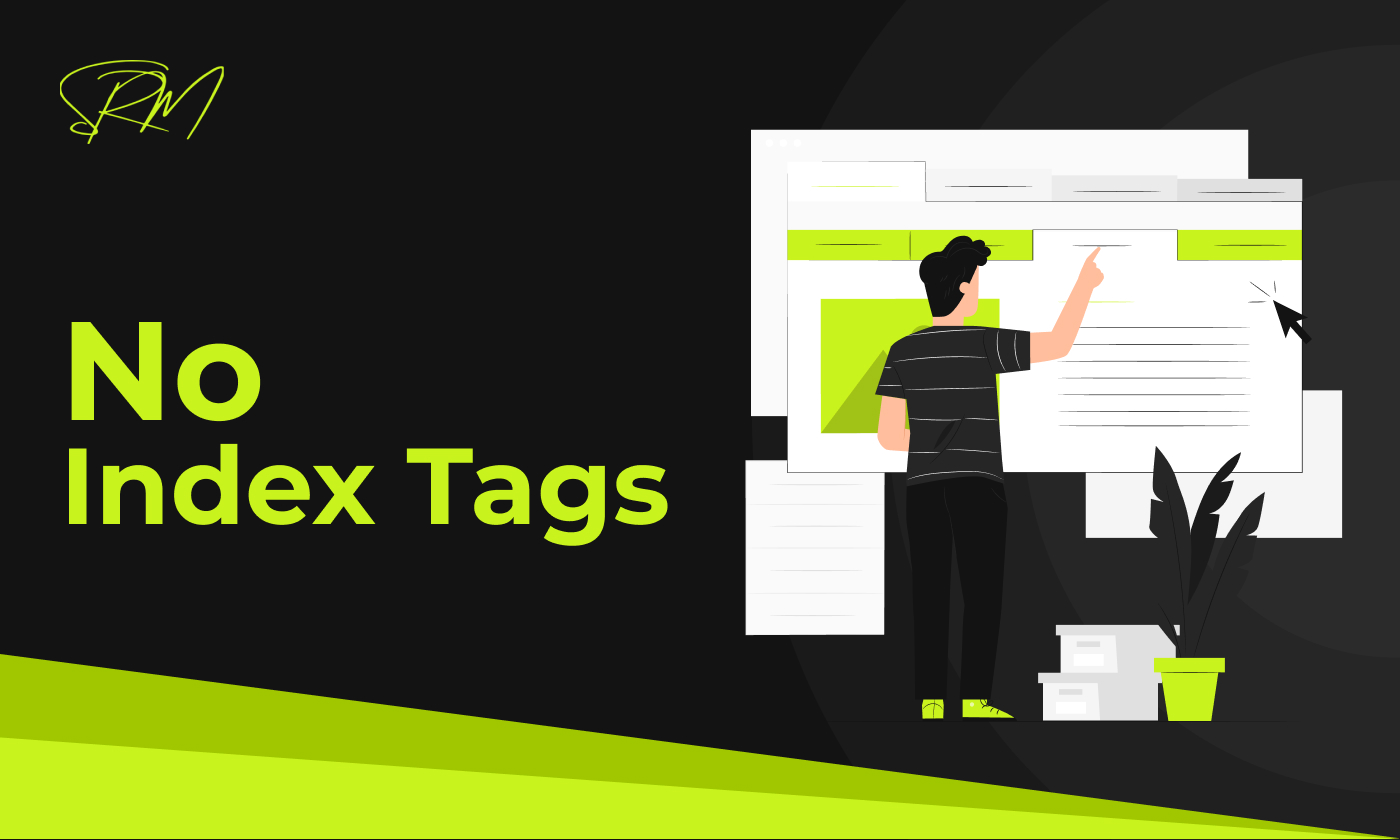 What are No Index Tags