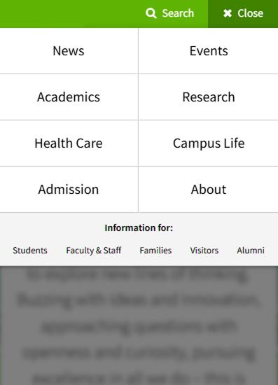 Mobile-Friendly - mobile Optimization seo