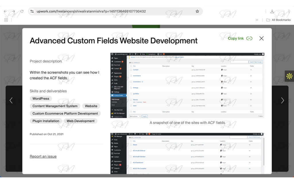 Created the Advanced Custom Fields Website