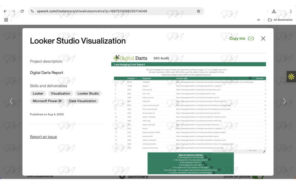 Looker Studio visualization project overview for Digital report