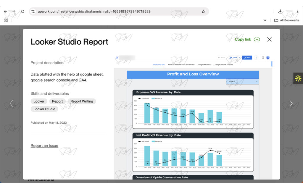 Profit and Loss Overview - Looker Studio Report