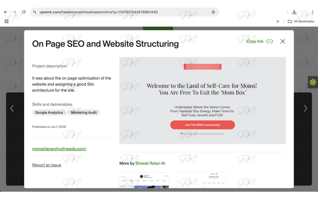 Worked On Page SEO and Website Structuring