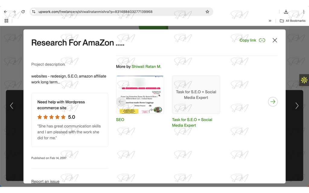 Research For AmaZon Project | SEO, Redisign and Amazon affiliate