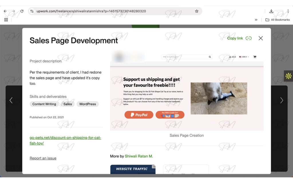 Sales Page Development project overview client