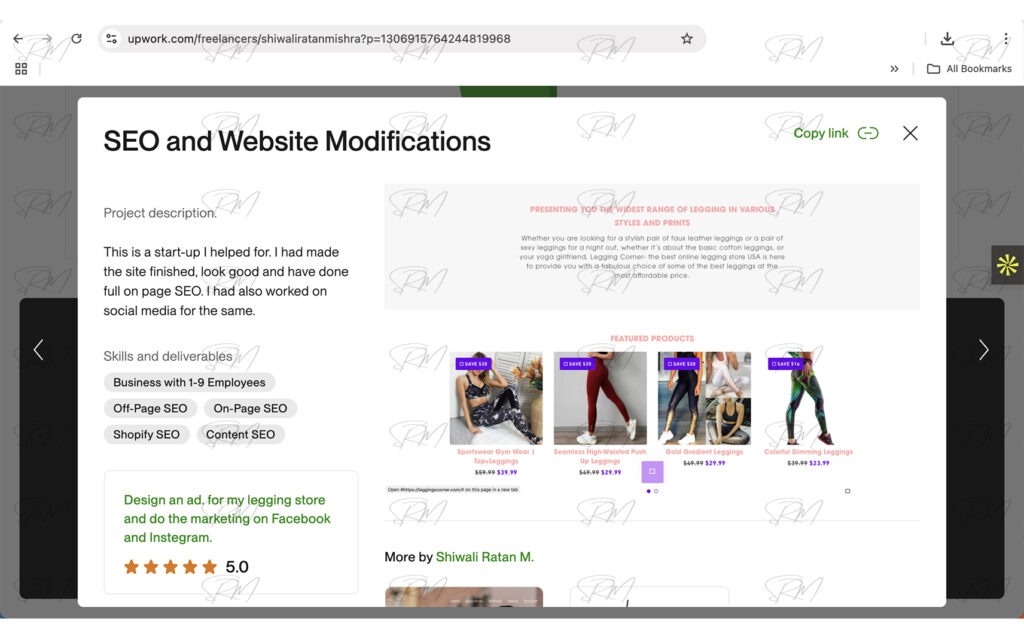 Upwork portfolio entry for SEO and Website Modifications showing project