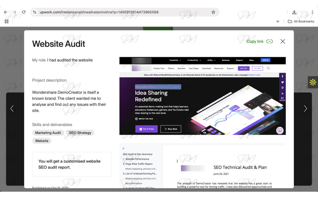 Website Audit Report- Wondershare DemoCreator