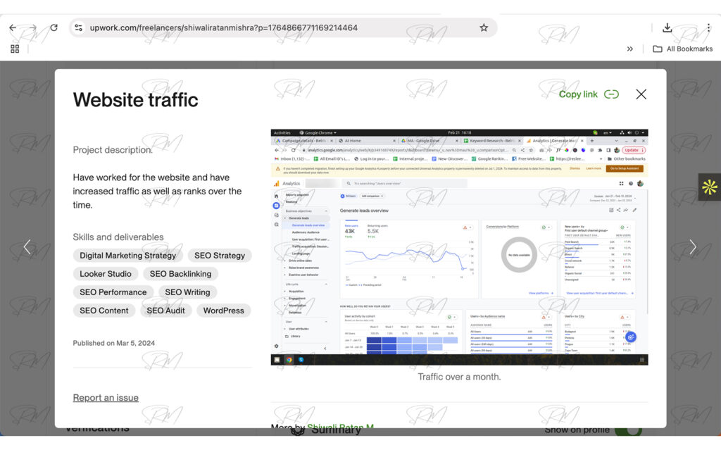 Website traffic Dashboard