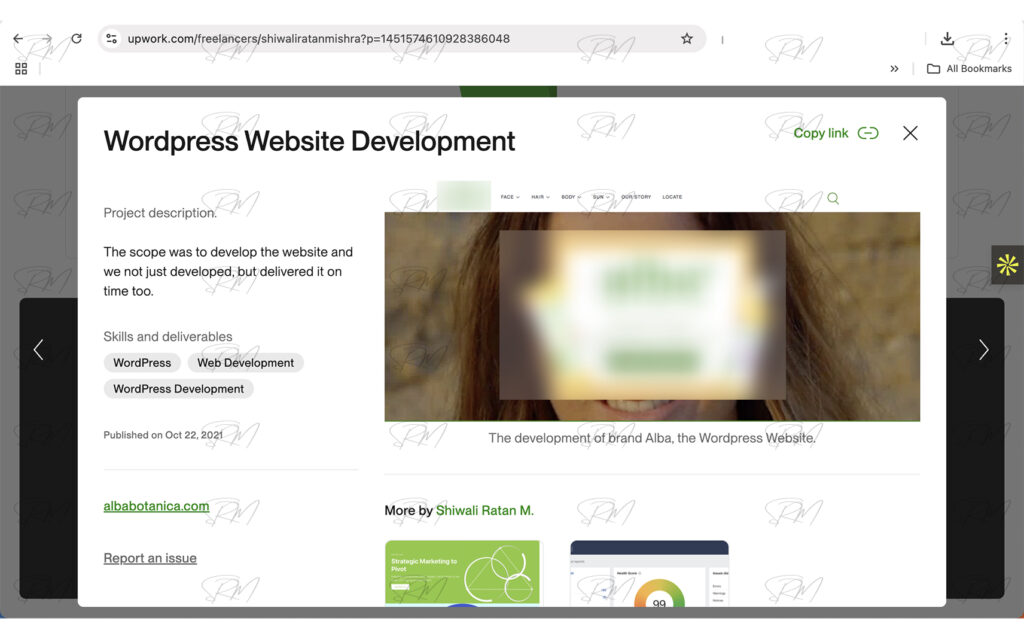 WordPress website development project showcase